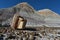 Petrified Forest wood rock