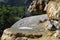 Petrified Fountain of RÃ©otier, Hautes-Alpes, France