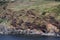 Petrified Lava on the coast, Graciosa island, Azores