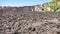 Petrified lava flow on slope of Etna