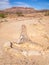 Petrified and mineralized tree trunk in the Petrified Forest National Park at Khorixas, Damaraland, Namibia.