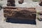 Petrified National Forest Long Fallen Log