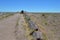 Petrified National Forest Long Fallen Logs along Walking Path