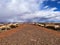 Petrified National Forest, spring, gravel, road, scenery, background, blue sky, grassland