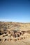 Petrified tree trunk and desert in Namibia