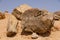 Petrified trees in Sudan