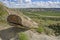 Petrified Wood in the Badlands