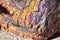 Petrified Wood close up, colorful shades of red, orange, purple, yellow and grey example of fossilized mineralization