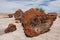 Petrified Wood at Petrified Forest National Park