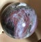 petrified wood sphere rare fossil mineral expensive beautiful