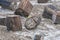 Petrified Wood strewn around at National Park