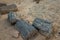 Petrified wood trunks in the stone desert in Sudan