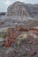 Petrified Wood and White Hill