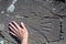 Petroglyph hand Altai