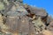 Petroglyph National Monument in New Mexico