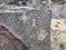 Petroglyph National Monument, New Mexico