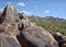 Petroglyph or prehistoric carvings of the Hohokam