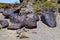 Petroglyph Site, Near Gila Bend