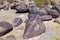 Petroglyph Site, Near Gila Bend, Arizona