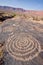 Petroglyphs of Anasazi Canyon