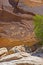 Petroglyphs at Arches National Park