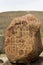 Petroglyphs at Boca de Potrerillos, Nuevo LeÃ³n, MÃ©xico