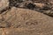 Petroglyphs carved in volcanic rock on King`s Trail, Kona, Hawaii