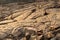 Petroglyphs carved in volcanic rock on King`s Trail, Kona, Hawaii