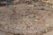 Petroglyphs carved in volcanic rock on King`s Trail, Kona, Hawaii