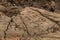 Petroglyphs carved in volcanic rock on King`s Trail, Kona, Hawaii