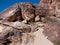 Petroglyphs, Grapevine Canyon