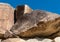 Petroglyphs in the Grapevine Canyon, Nevada