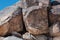 Petroglyphs in Grapevine Canyon, southern Nevada