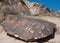 Petroglyphs in Grapevine Canyon in southern Nevada