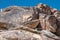 Petroglyphs in Grapevine Canyon in southern Nevada