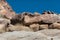 Petroglyphs in Grapevine Canyon in southern Nevada