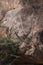 Petroglyphs in the Grapevine Canyon in southern Nevada