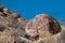 Petroglyphs in the Grapevine Canyon in southern Nevada