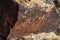Petroglyphs on Newspaper Rock, Petrified Forest, Arizona