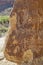 Petroglyphs of NIne Mile Canyon
