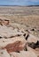 Petroglyphs in Petrified Forest National Park