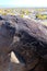 Petroglyphs, Petroglyph National Monument, Albuquerque, New Mexico