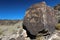 Petroglyphs, Petroglyph National Monument, Albuquerque, New Mexico