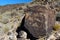 Petroglyphs, Petroglyph National Monument, Albuquerque, New Mexico