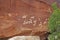 Petroglyphs, Red rock and desert landscape, Southwest USA