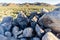 Petroglyphs - Signal Hill Trail - Saguaro National Park - AZ