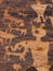 Petroglyphs of Southern Utah