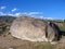 Petroglyphs. Stone with ancient primitive drawings