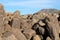 Petroglyphs of a sun, snake, and animals carved into a rock on top of Signal Hill on the Signal Hill Trail, Saguaro National Park