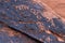 Petroglyphs, Valley of Fire